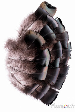 Bronzen kalkoen - 5-15 cm - natuurlijk-antraciet metallic